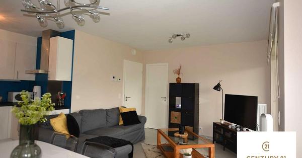 :Woningtype te :Stad