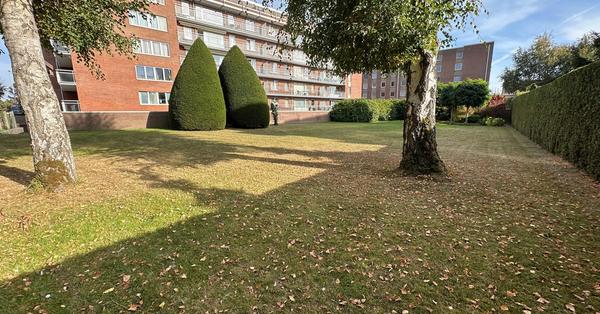 :Woningtype te :Stad