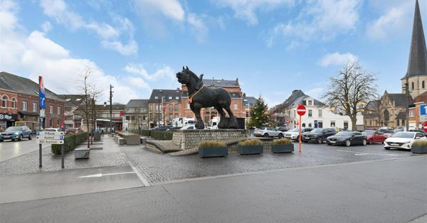 :Woningtype te :Stad