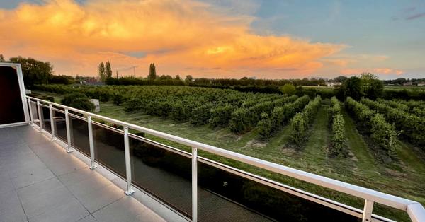 Appartement in Tienen