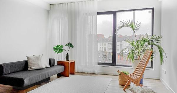 Apartment in Zottegem